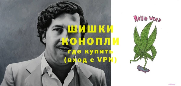 сатива Гусиноозёрск