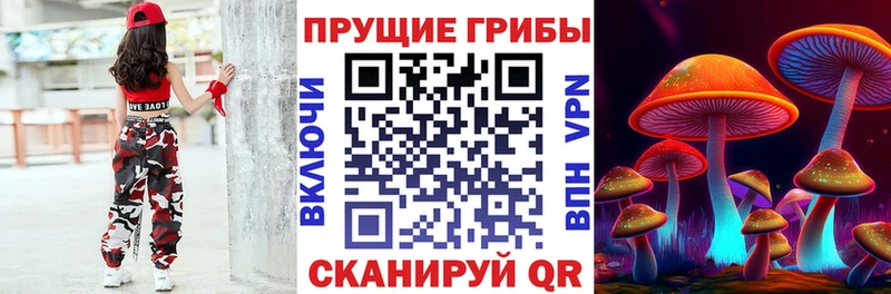 наркота  KRAKEN рабочий сайт  Псилоцибиновые грибы Cubensis  Оса 